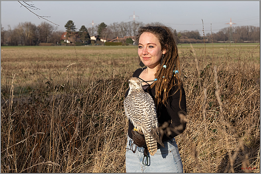 Cheyenne-Halbblut Hunting Wolf in der Falknerei Pierre Schmidt; Gymnich, 09.02.2023